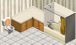 Bathtub, Toilet and Counter