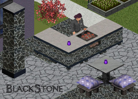 Download BlackStone BBQ set