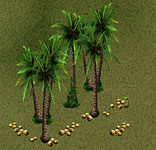 Coconuts (mixed collection)